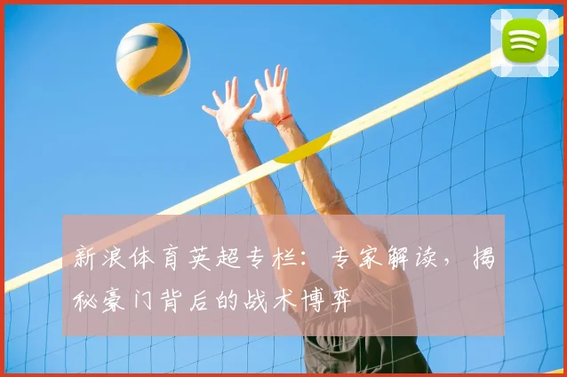 新浪体育英超专栏：专家解读，揭秘豪门背后的战术博弈