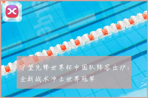 守望先锋世界杯中国队阵容出炉，全新战术冲击世界冠军