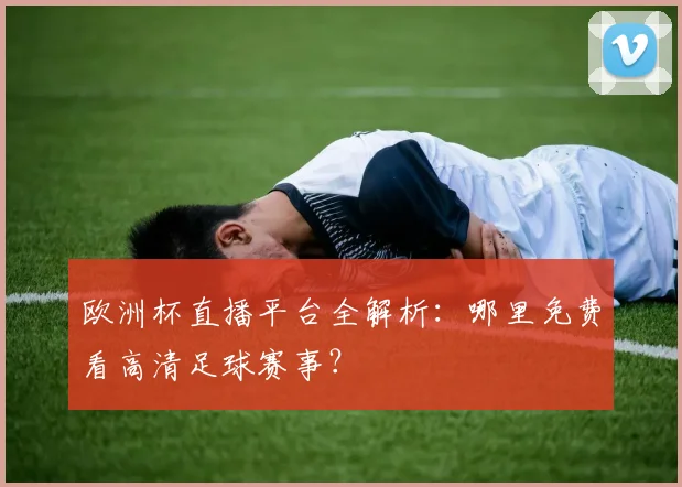 欧洲杯直播平台全解析：哪里免费看高清足球赛事？