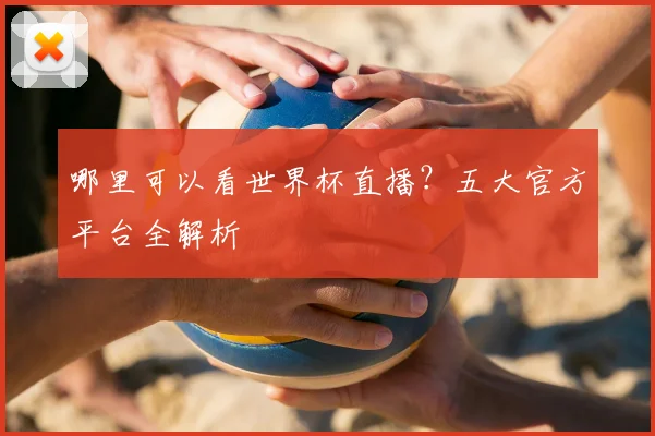 哪里可以看世界杯直播?五大官方平台全解析