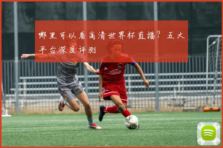 哪里可以看高清世界杯直播?五大平台深度评测