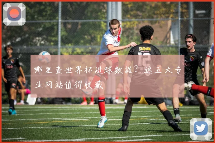 哪里查世界杯进球数据?这五大专业网站值得收藏