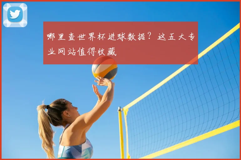 哪里查世界杯进球数据?这五大专业网站值得收藏