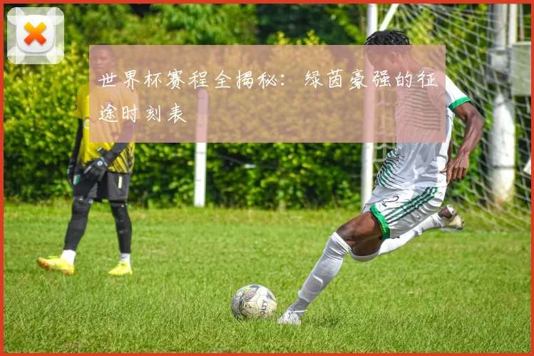 世界杯赛程全揭秘:绿茵豪强的征途时刻表