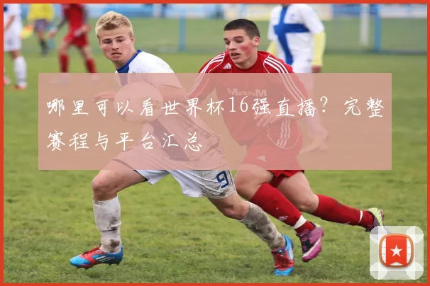 哪里可以看世界杯16强直播?完整赛程与平台汇总
