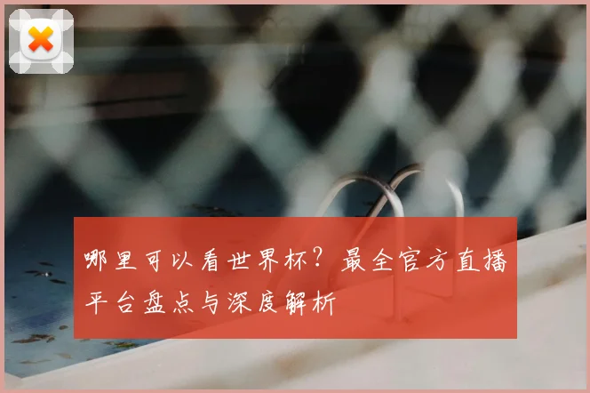 哪里可以看世界杯?最全官方直播平台盘点与深度解析