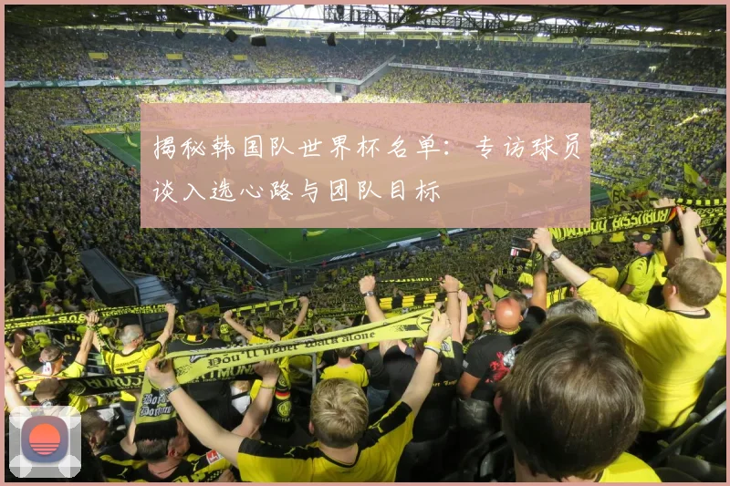 揭秘韩国队世界杯名单:专访球员谈入选心路与团队目标