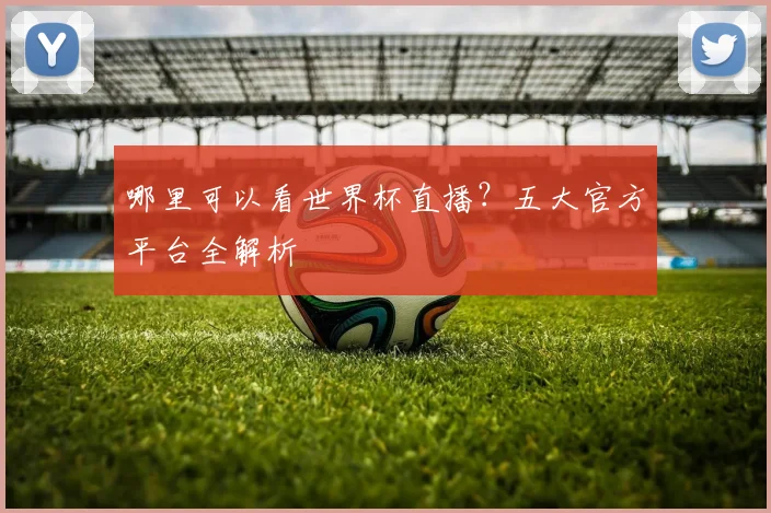哪里可以看世界杯直播?五大官方平台全解析