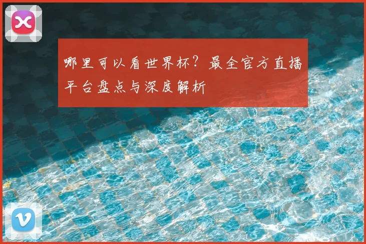 哪里可以看世界杯？最全官方直播平台盘点与深度解析